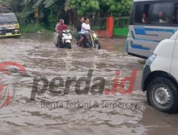 Jalan Lintas Perdagangan – Siantar Jadi Tempat Mandi Kerbau, Warga Marihat Bandar Desak Bobby Nasution dan PU Provinsi Segera Bertindak!