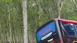 Kecelakaan maut motor dan Bus Ohana di Simpang Bandar Jambu Simalungun korban Noprianto