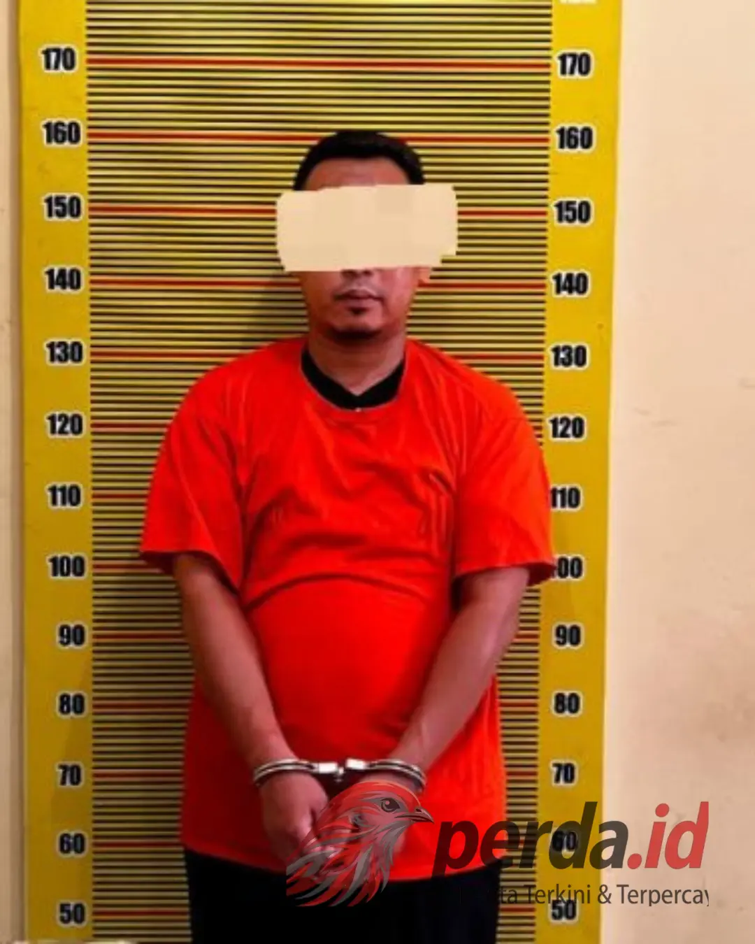 Polda Sumut tangkap guru swasta pengedar 2 kg sabu di Deli Serdang