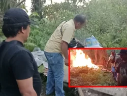 Dukung Kamtibmas, Polsek Bosar Maligas Musnahkan Gubuk Narkoba di Nagori Boluk