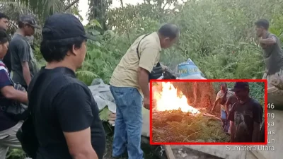 Dukung Kamtibmas, Polsek Bosar Maligas Musnahkan Gubuk Narkoba di Nagori Boluk