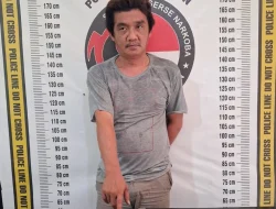 Dumas Polda Sumut Berbuah Hasil, Polres Simalungun Ringkus Pengedar Sabu di Perdagangan